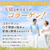 ファイン　非変性2型コラーゲンUC-2 250粒　1セット（2個）　【機能性表示食品】