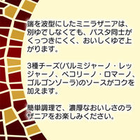 日清製粉ウェルナ マ・マー 3種のチーズのソースで仕上げるラザニアセット（3～4人前） ×2個