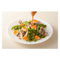 エスエスケーフーズ SSK静岡県産わさびドレッシング 160ml 3本