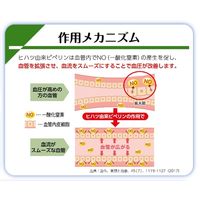 【トクホ・特保】ナチュラルケアタブレット（粒タイプ） 大正製薬