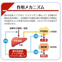 ファットケアタブレット（粒タイプ） 大正製薬 【機能性表示食品】