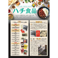 ハチ食品 メガ盛りカレー ブラック 中辛 300g 1セット（3個）