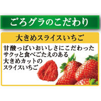 日清シスコ ごろグラ 贅沢果実 280g 1袋　シリアル