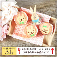 サラヤ ラカントS顆粒 580g 2個