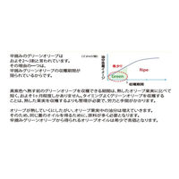 ボスコエキストラバージンオリーブオイル 684g 1セット（2本） 日清オイリオ BOSCO