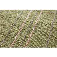 スミノエ HOMERUG Caruruカルル 抗菌・抗ウィルスラグ タイプフォー 1700×2200mm グリーン 1枚（直送品）