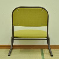 エイ・アイ・エス 楽座椅子 ロータイプ グリーン RCL-03GN-4PCS 1セット(4脚入)（直送品）