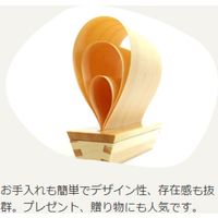 大橋量器 エコ加湿器 マストM MASU031 1台（直送品）