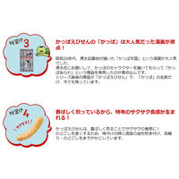 カルビー かっぱえびせん 77g 3袋