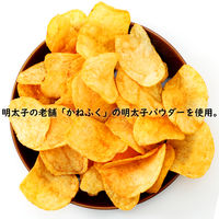 山芳製菓 明太マヨビーフ 3袋 ポテトチップス スナック菓子