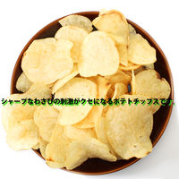 山芳製菓 ポテトチップス 男気わさビーフ 45g 6袋 スナック菓子