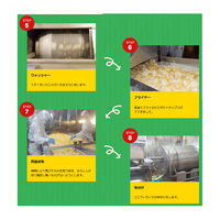 山芳製菓 ポテトチップス 男気わさビーフ 100g 3袋 スナック菓子