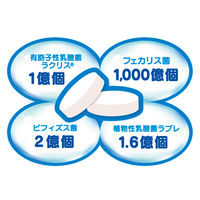 ヨーグルト10個分の乳酸菌大容量 1個（154粒） ユニマットリケン サプリメント