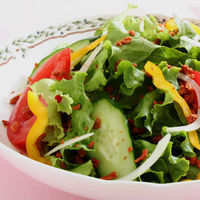 ベーコンフレーバードビッツ 110g 2個 ユウキ食品