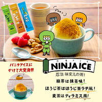 【水出し可】伊藤園 おーいお茶 さらさらほうじ茶 スティック 1箱（16本入）