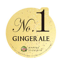 コカ・コーラ カナダドライ プレミアジンジャーエール 380ml 1箱（24本入）