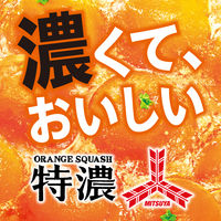アサヒ飲料 「三ツ矢」特濃オレンジスカッシュ 500ml 1箱（24本入）
