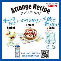 熱中症対策飲料 キリンビバレッジ 世界のキッチンから ソルティライチベース ＜希釈タイプ＞ 500ml 1本 スポーツドリンク 果汁