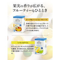 アーマッド AHMAD TEA（アーマッドティー） コールドブリュー ティーバッグ レモンライム 1箱（20バッグ入）