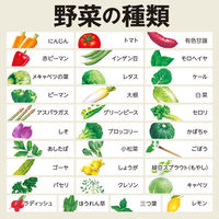 伊藤園 1日分の緑黄色野菜 （紙パック） 100ml 1セット（36本） 【野菜ジュース】