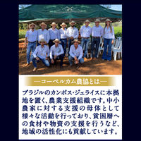 【コーヒー粉】味の素AGF 「ちょっと贅沢な珈琲店 」レギュラーコーヒー 香る深いコクのブラジル・ブレンド 1ケース（230g×12袋入）