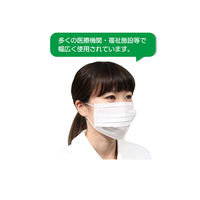 フィット使いきりマスク 1箱（50枚入） 169 ファーストレイト FR-169（わけあり品）