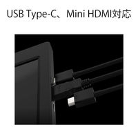 JAPANNEXT 2画面モバイルモニター 11.6インチ USB-C接続  JN-TRI-IPS116FHDR 1台（直送品）