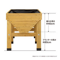 タカショー ホームベジトラグ L VGT-02F 1台（直送品）