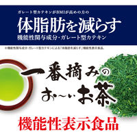 【機能性表示食品】伊藤園 一番摘みのおーいお茶 1000 ゆたかみどり 1袋（100g）