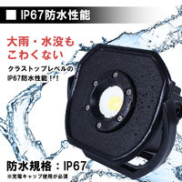 長輝LITETEC 充電式投光器33W PO-31 1台