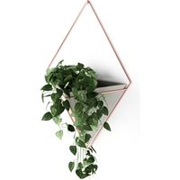 アントレックス Umbra トリッグ ウォールオーガナイザー L 幅220×奥行100×高さ390mm コンクリート/コパー 1個（直送品）