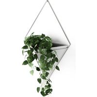 アントレックス Umbra トリッグ ウォールオーガナイザー L 幅220×奥行100×高さ390mm ホワイト/ニッケル 1個（直送品）