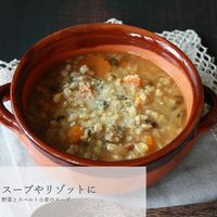 【アルチェネロ】有機野菜ブイヨン・パウダータイプ 120g C5-56 12個（直送品）