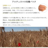 日仏貿易 【アルチェネロ】有機ファイバー＆プロテインスパゲッティ 全粒粉とレンズ豆 250g【オーガニック】 C6-43 20個（直送品）