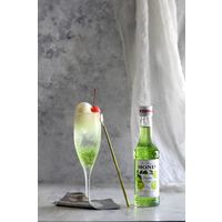 日仏貿易 【モナン】グリーンアップル・シロップ　250ml R4-04 6個（直送品）