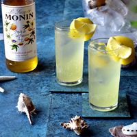 日仏貿易 【モナン】パッションフルーツ・シロップ　250ml R4-21 6個（直送品）