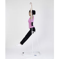 アルインコ ＜アルインコ＞ぶら下がり健康器スペシャルセット2 a24366 1個（直送品）