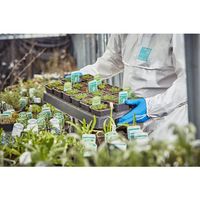 アンセル・ヘルスケア・ジャパン アンセル 耐油・耐薬品ニトリル手袋 アルファテック 37ー310 XLサイズ 37-310-10 1双（直送品）