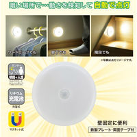 オーム電機 LEDセンサーライト 06-0858 1台（直送品）