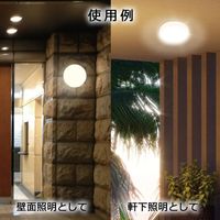 オーム電機 防雨防湿型LEDシーリングライト フラット型 700lm 電球色 06-4083 1台（直送品）