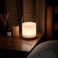 オーム電機 LED木目調ランプ 06-5083 1台（直送品）