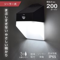 オーム電機 センサーウォールライト ソーラー式 200ルーメン 06-5213 1台
