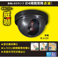 オーム電機 monban ダミーカメラ 常時点滅タイプ 07-8695 1台