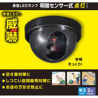 オーム電機 monban ダミーカメラ 明暗センサー式点灯タイプ 07-8696 1台