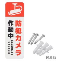 オーム電機 monban ダミーカメラ ソーラー式 屋外型 常時点滅タイプ 07-8698 1台