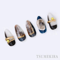 TSUMEKIRA(ツメキラ) ネイルシール effronteekyokoプロデュースTheoristダー NN-EFK-009（直送品）