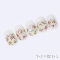 TSUMEKIRA(ツメキラ) ネイルシール DAISYプロデュース16 SAKURA/サクラ NN-DAI-124 1セット(3枚)（直送品）