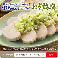 味の素 瀬戸のほんじお 300g袋 1個　塩