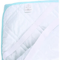 【並行輸入品】iiもの本舗 吸水速乾 敷パッド ライトグリーン 約100×200cm 1袋（1枚入）
