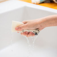 （100%天然素材）スポンジワイプ S 北欧ふきん セルロース 抜群の吸水力 ムーミン パパ読書中 1個 イーオクト